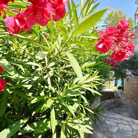 Blissful Bay - Two Bedroom With Terrace شقة فربوسكا